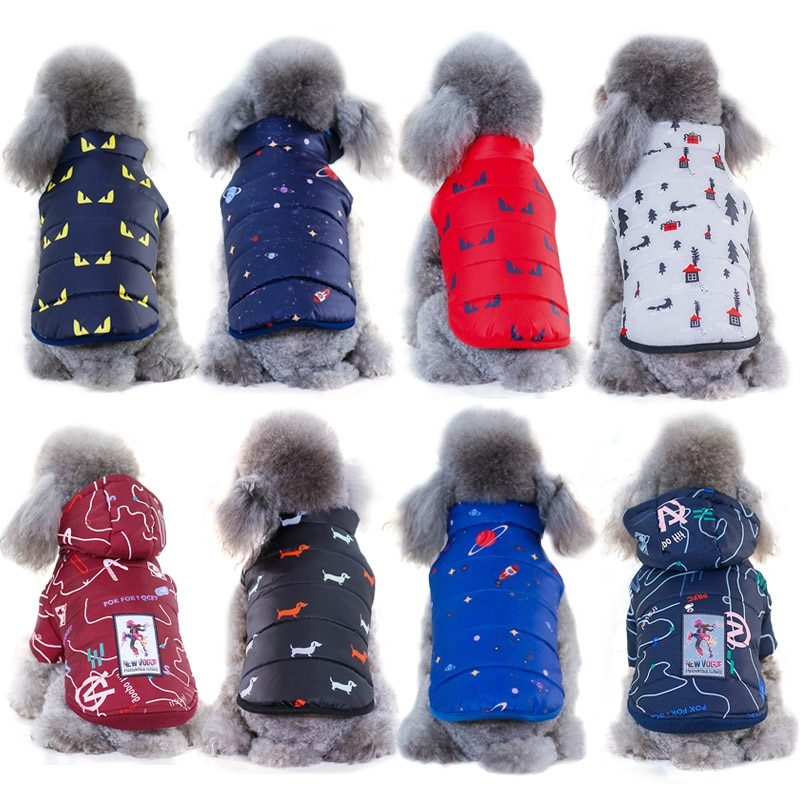 38371-12bc2o.jpg Vêtements d'hiver pour petits chiens – Image 5