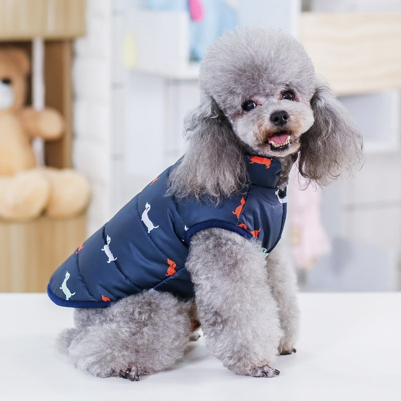 38371-2aku6y.jpg Vêtements d'hiver pour petits chiens – Image 2