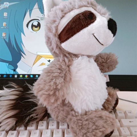 Peluche Raton laveur, doux et mignon, 25 à 55 cm – Image 5