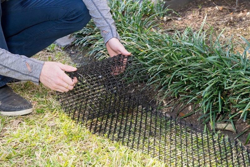 72740-c0gxqj.jpg Tapis de jardin répulsif pour chats et chiens en plastique, 2 m – Image 2