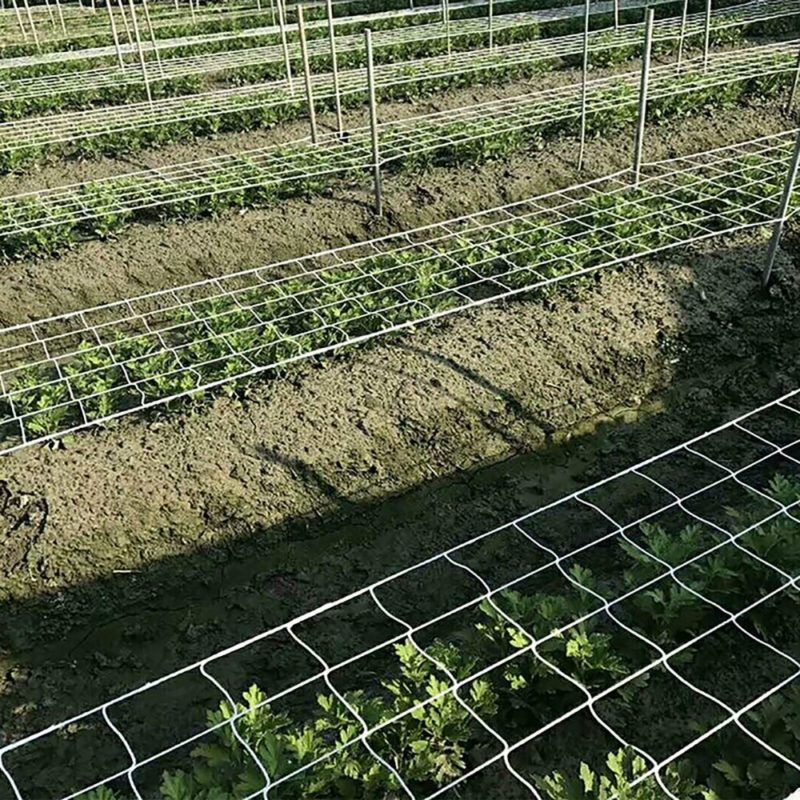 Filet de jardin agricole, maille en nylon, résistant à l'usure et durable – Image 1