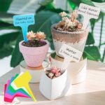 Lot d'étiquettes en plastique 6 x 10 cm, résistance à l'eau et aux UV, 6 couleurs – Image 2