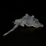 Peluche Manta raie réaliste, animaux de mer, 50 cm – Image 4