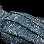 Peluche de tortue à dos nu, animaux marins réalistes, 30 cm – Image 6