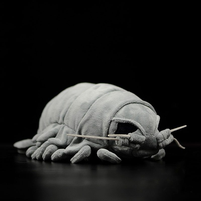 Peluche Isopode géant réaliste, animaux de mer, 30 cm