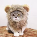 Perruque pour animal de compagnie avec oreilles, déguisement amusant – Image 4