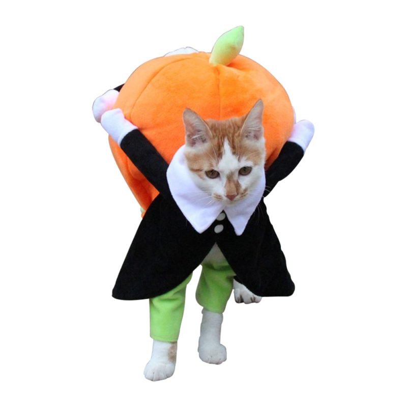Costume pour chien et chat, motif citrouille – Image 1