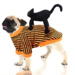 Costume d'hiver pour chien et chat, vêtement chaud et amusant