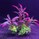 Plante décorative artificielle pour aquarium, 14 cm – Image 6