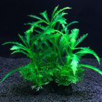 Plante décorative artificielle pour aquarium, 14 cm – Image 4