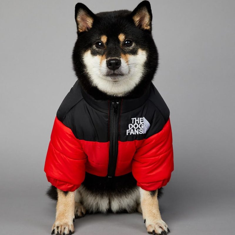 Veste coupe-vent pour petit et grand chien, vêtement d'hiver – Image 3