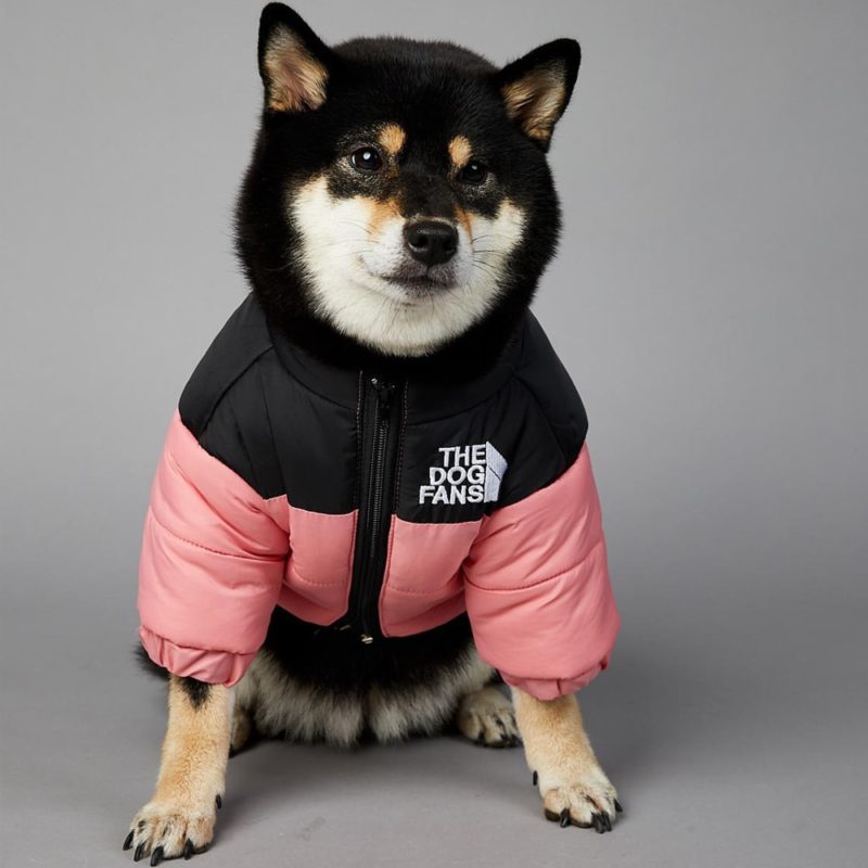 Veste coupe-vent pour petit et grand chien, vêtement d'hiver – Image 5