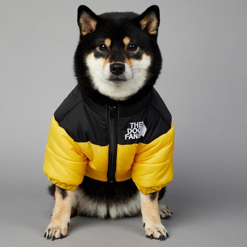 Veste coupe-vent pour petit et grand chien, vêtement d'hiver – Image 1