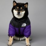 Veste coupe-vent pour petit et grand chien, vêtement d'hiver – Image 4