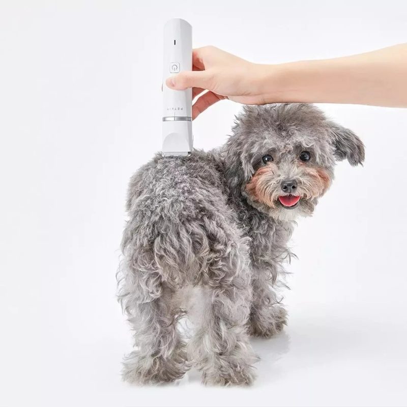 Tondeuse pour animaux 2 en 1, toilettage et coupe, sans fil, rechargeable, professionnel – Image 2