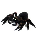 Peluche araignée tarentule réaliste, 21 cm – Image 3