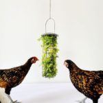 Panier d'alimentation suspendu pour poulailler – Image 3