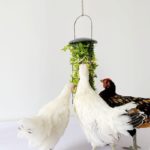 Panier d'alimentation suspendu pour poulailler – Image 4