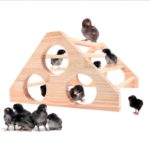 Perchoir en bois pour élevage, robuste