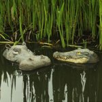 Tête de Crocodile flottante, réaliste, pour étang, piscine, 32 cm – Image 2