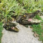 Tête de Crocodile flottante, réaliste, pour étang, piscine, 32 cm – Image 3
