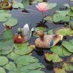 Statue de canard Mandarin, sculptures d'animaux artificiels, 22 cm – Image 2