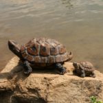 Figurine animale de tortue en résine, décoration de jardin – Image 2