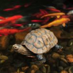 Figurine animale de tortue en résine, décoration de jardin – Image 3