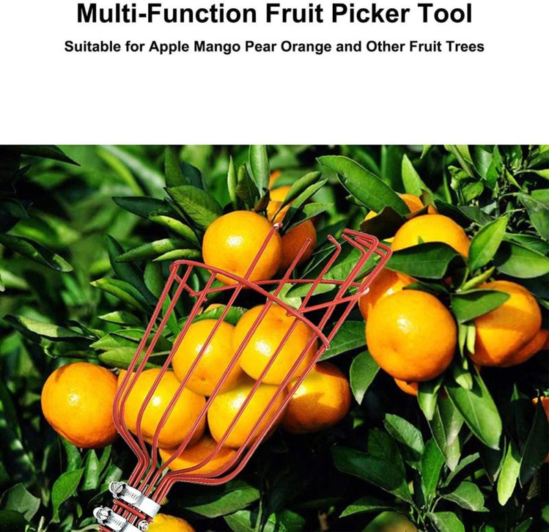 Cueilleur de fruits réglable, panier profond pratique pour la cueillette des fruits, 262 cm – Image 2