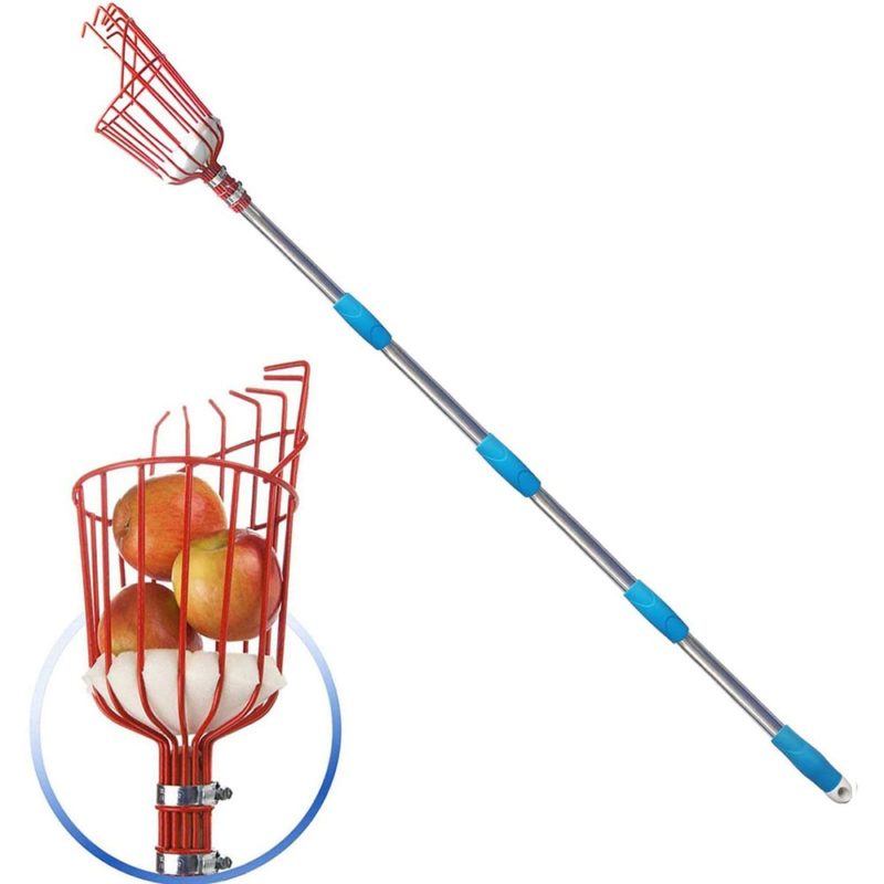 Cueilleur de fruits réglable, panier profond pratique pour la cueillette des fruits, 262 cm – Image 1