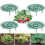 Support de plantes, cadre à fraises, de plantes grimpantes, 5 à 20 pièces