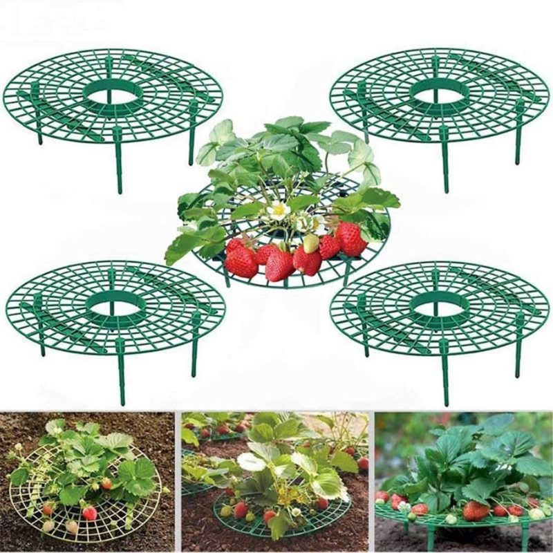 Support de plantes, cadre à fraises, de plantes grimpantes, 5 à 20 pièces – Image 1