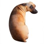 Coussin 3D en forme de chien, rembourrage en coton, 50 cm – Image 3
