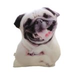 Coussin 3D en forme de chien, rembourrage en coton, 50 cm – Image 6