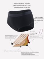 Lot de 5 culottes menstruelles, 4 couches absorbantes, flux léger – Image 6