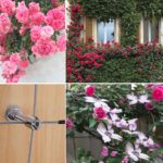 Treillis en acier inoxydable pour plantes grimpantes, 37 pièces, professionnel, ensemble complet – Image 6