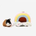 Niche pour petit animal de compagnie, hamster, cochon d'inde