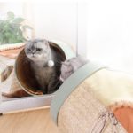 Niche et tunnel pour animaux de compagnie, 3 trous, pliable, quatre saisons – Image 3