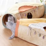 Niche et tunnel pour animaux de compagnie, 3 trous, pliable, quatre saisons – Image 2