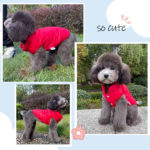 Vêtement chaud pour chien, gilet confortable et imperméable – Image 2