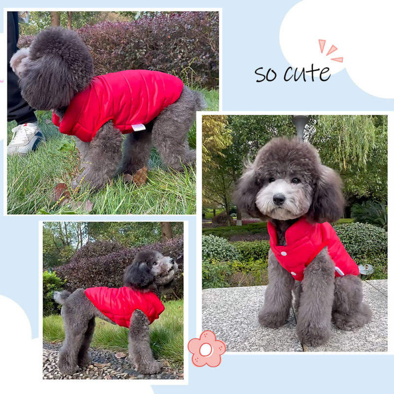 135383-oczhgu.jpg Vêtement chaud pour chien, gilet confortable et imperméable – Image 2