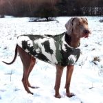 Vêtement d'hiver imperméable pour chien, confortable, grande taille – Image 6