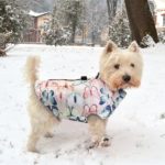 Vêtement d'hiver imperméable pour chien, confortable, grande taille – Image 4