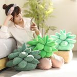 Peluche de plante succulente douce, confortable, 25 à 45 cm – Image 4