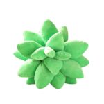 Peluche de plante succulente douce, confortable, 25 à 45 cm
