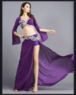 Ensemble 2 pièces de danse orientale, en soie argentée, perlé, costume professionnel – Image 4
