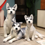 Peluche de chien Husky réaliste, doux et mignon, de 30 à 90 cm – Image 2