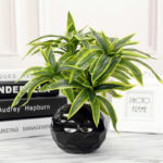 Plante artificielle avec branche, feuilles tropicales, 3 têtes, 36 cm