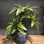 Plante artificielle avec branche, feuilles tropicales, 3 têtes, 36 cm – Image 5