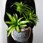 Plante artificielle avec branche, feuilles tropicales, 3 têtes, 36 cm – Image 4